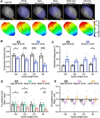 Optogenetic manipulation of cardiac repolarization gradients using sub-threshold illumination